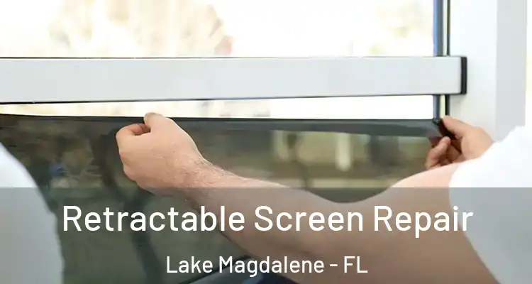  Retractable Screen Repair Lake Magdalene - FL