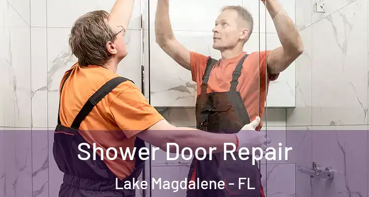  Shower Door Repair Lake Magdalene - FL