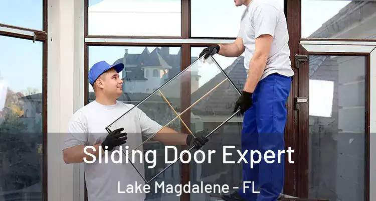  Sliding Door Expert Lake Magdalene - FL