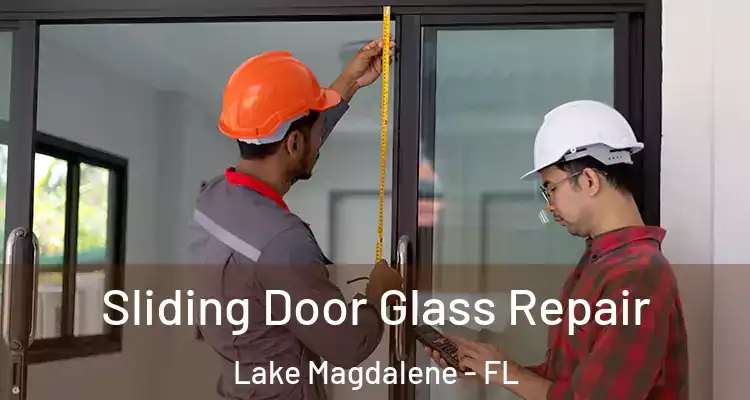  Sliding Door Glass Repair Lake Magdalene - FL