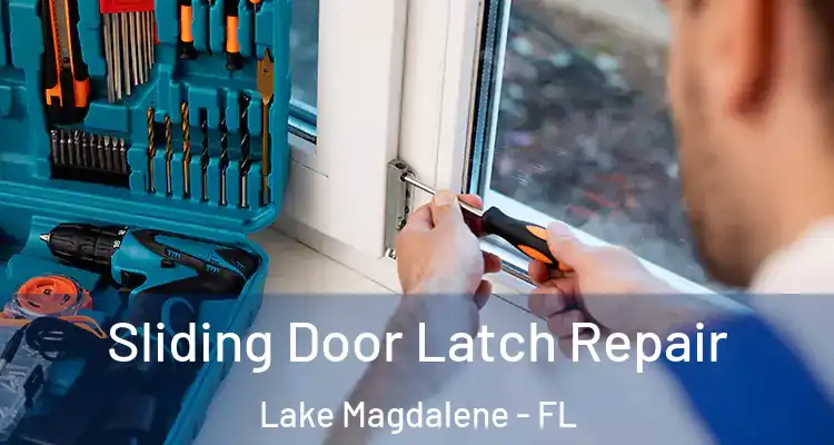  Sliding Door Latch Repair Lake Magdalene - FL