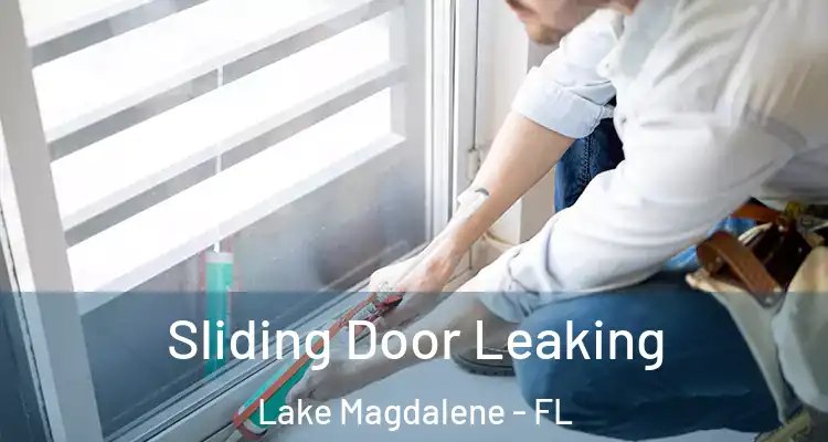  Sliding Door Leaking Lake Magdalene - FL