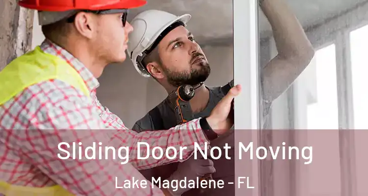  Sliding Door Not Moving Lake Magdalene - FL