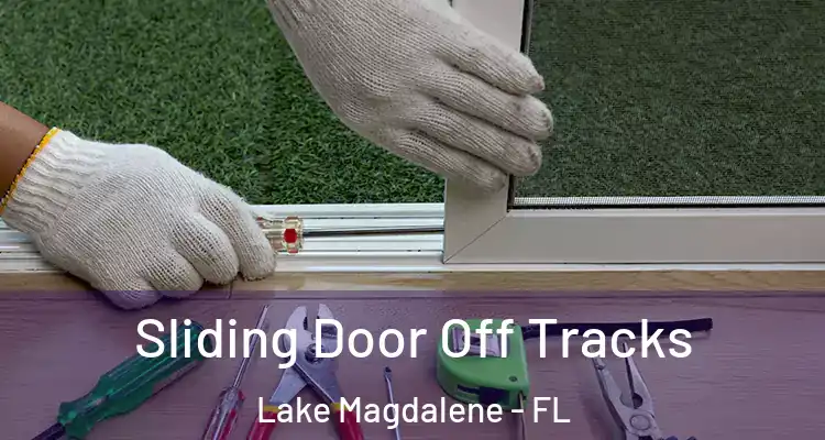 Sliding Door Off Tracks Lake Magdalene - FL