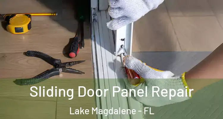  Sliding Door Panel Repair Lake Magdalene - FL