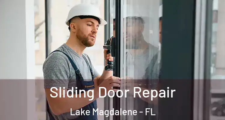  Sliding Door Repair Lake Magdalene - FL