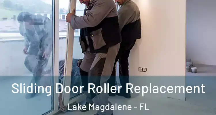  Sliding Door Roller Replacement Lake Magdalene - FL