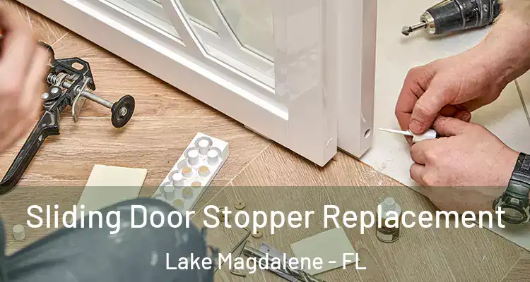  Sliding Door Stopper Replacement Lake Magdalene - FL