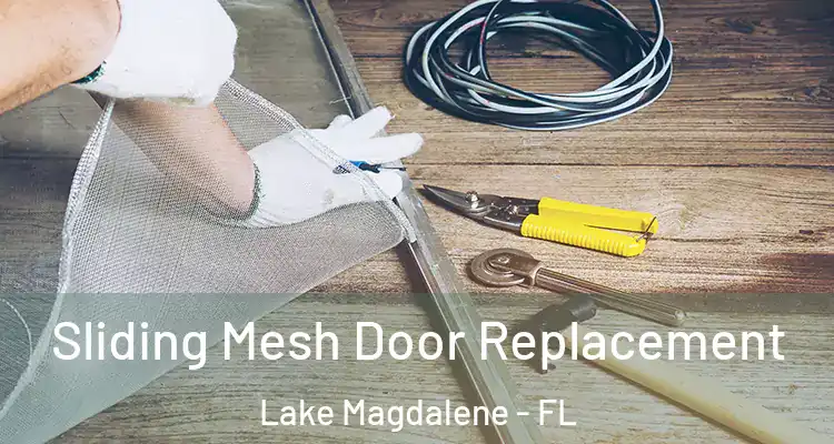  Sliding Mesh Door Replacement Lake Magdalene - FL