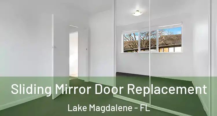  Sliding Mirror Door Replacement Lake Magdalene - FL