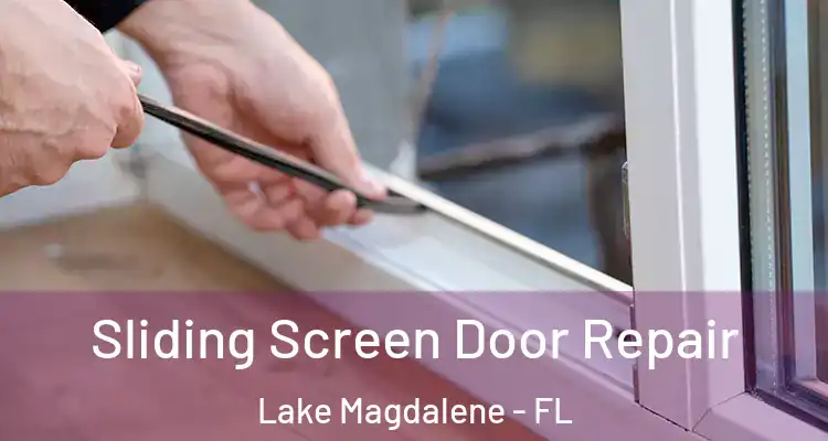  Sliding Screen Door Repair Lake Magdalene - FL