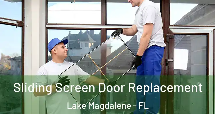 Sliding Screen Door Replacement Lake Magdalene - FL