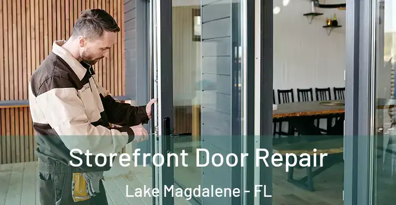  Storefront Door Repair Lake Magdalene - FL