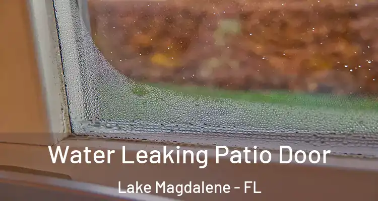  Water Leaking Patio Door Lake Magdalene - FL