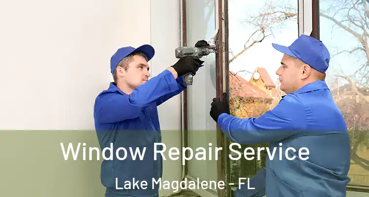  Window Repair Service Lake Magdalene - FL