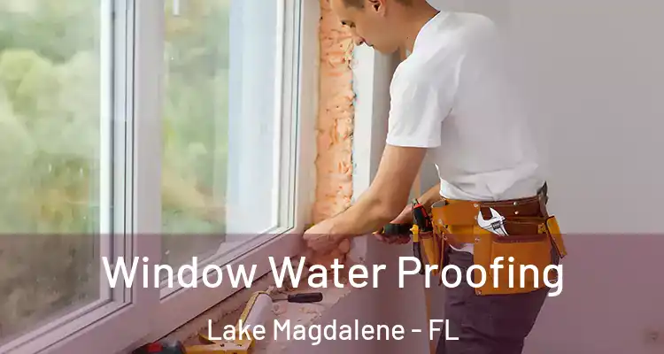  Window Water Proofing Lake Magdalene - FL